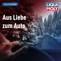 Liqui Moly Scheibenfrostschutz Konzentrat 5 Liter